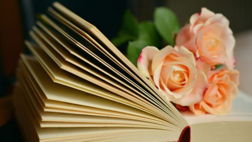 Lahjoita tarina Kirjan ja ruusun päivänä