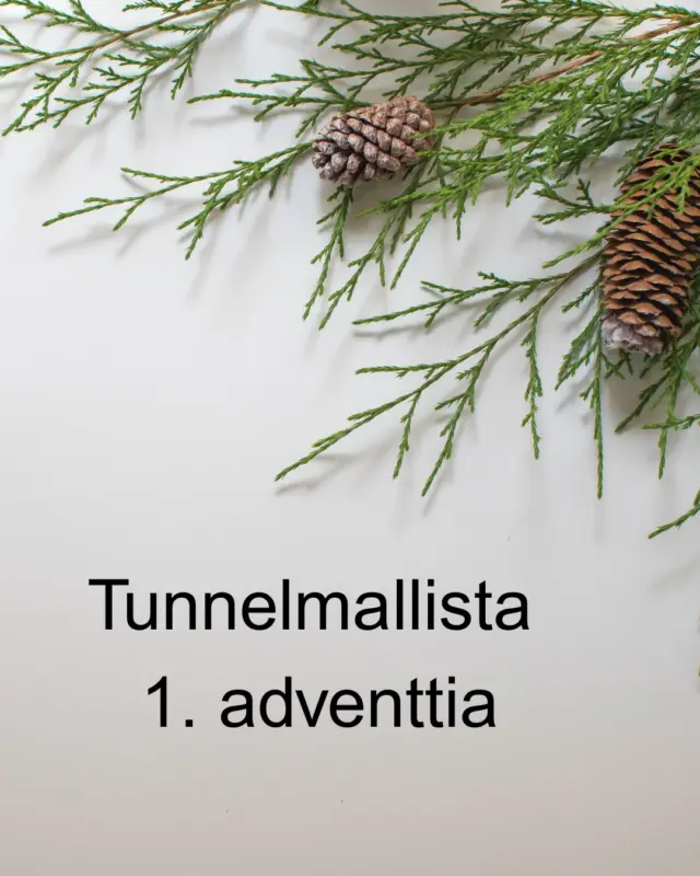 Tunnelmallista 1. adventtia! 💫
Anna joulun odotuksen alkaa. #joulu #joulunodotus #bodsuomi #teekirjastasitotta