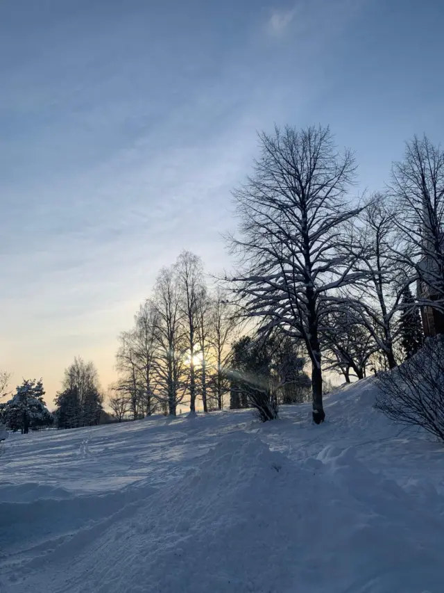 Hyvää itsenäisyyspäivää Suomi!  #bodsuomi #teekirjastasitotta #kirjoittaminen #itsenäisyyspäivä 💙
Luonnon kauneus kertoo tarinaa vapaudesta ja rauhasta – rannoilta tuntureille, metsistä järvien kirkkaisiin vesiin. Tänään juhlimme maata, jossa puhtaat maisemat ja vahvat arvot kulkevat käsi kädessä.